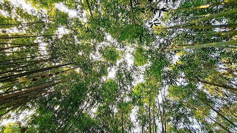 切换焦段看世界：潜望式超远摄vivo X30手机摄影