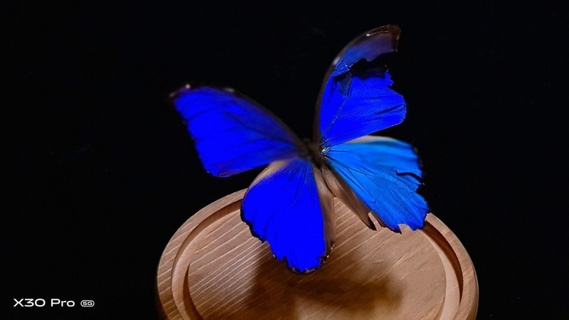 切换焦段看世界：潜望式超远摄vivo X30手机摄影