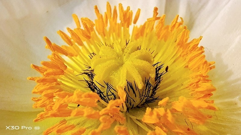 切换焦段看世界：潜望式超远摄vivo X30手机摄影