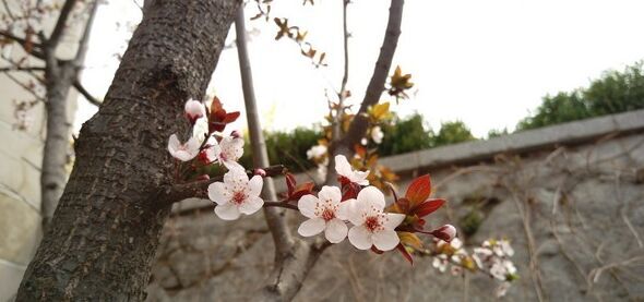 HTC One M9+拍照体验
