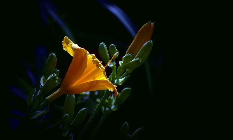 #版主坐堂#小五星空(中国)六月佳作赏析   希望您看到自己的作品！