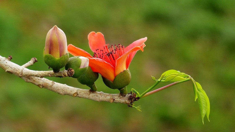 #版主坐堂#小五星空(中国)六月佳作赏析   希望您看到自己的作品！