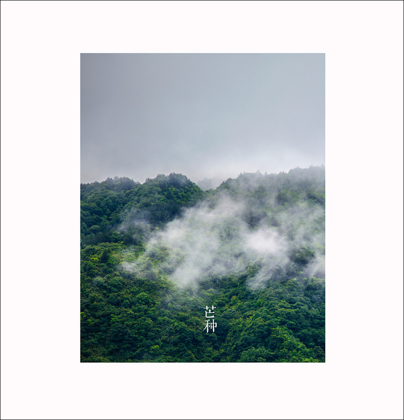 #版主坐堂#小五星空(中国)六月佳作赏析   希望您看到自己的作品！