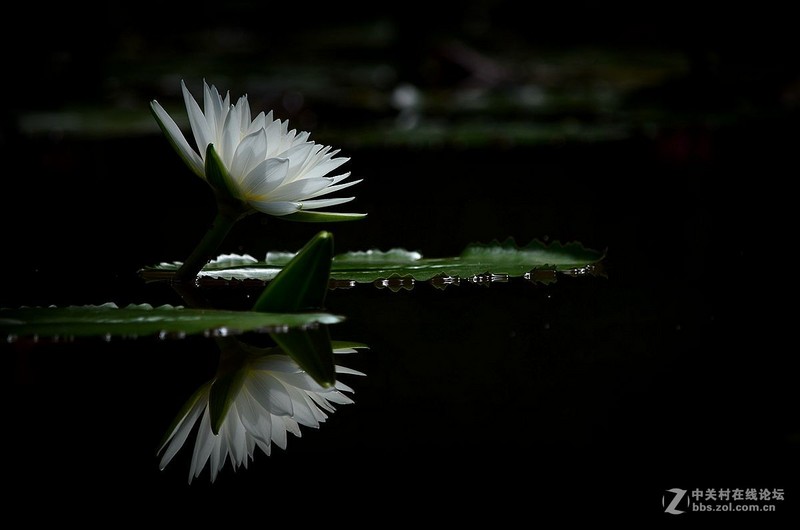 #版主坐堂#小五星空(中国)六月佳作赏析   希望您看到自己的作品！