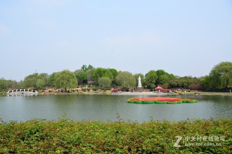 菏泽市曹州第二十八届牡丹节