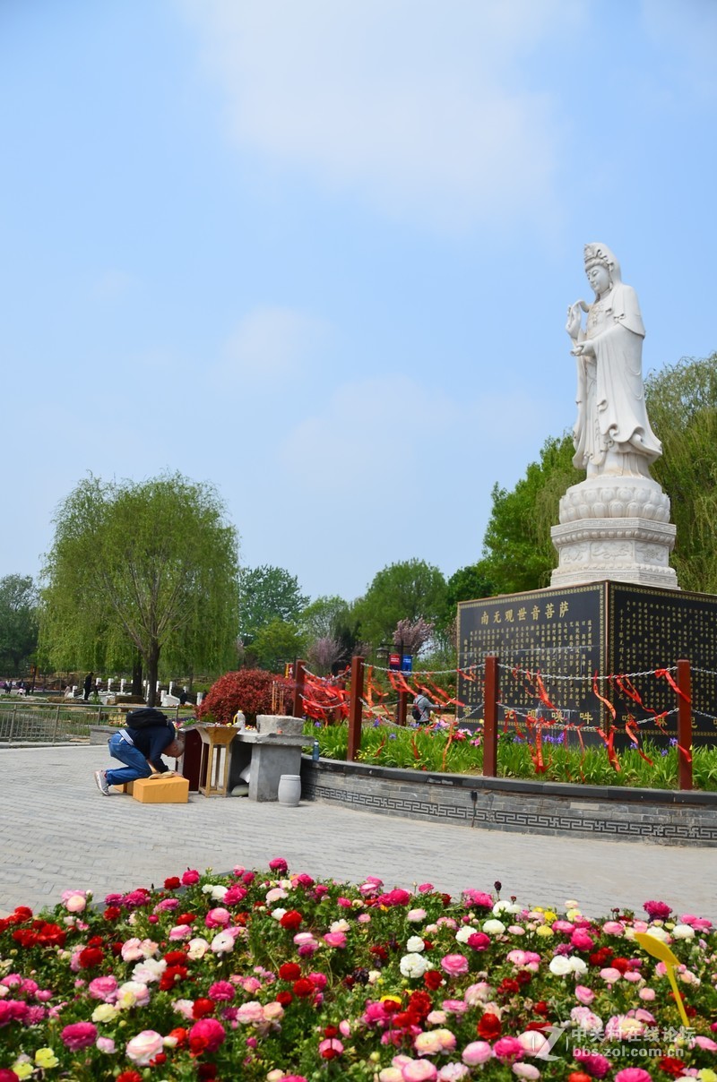 菏泽市曹州第二十八届牡丹节