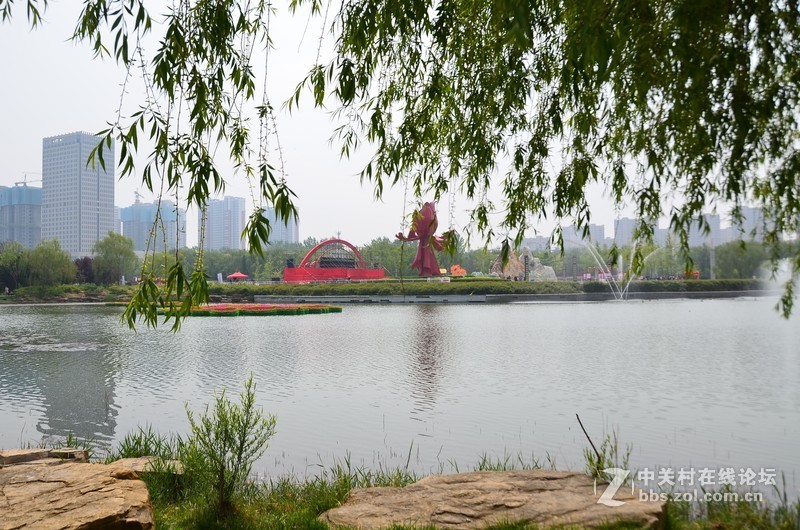 菏泽市曹州第二十八届牡丹节