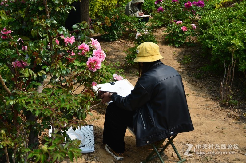 菏泽市曹州第二十八届牡丹节
