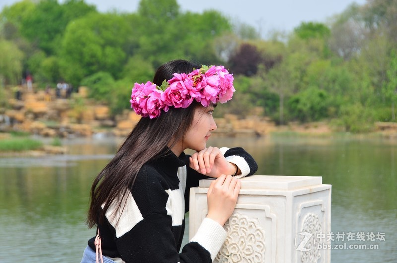 菏泽市曹州第二十八届牡丹节