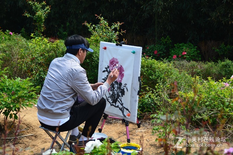 菏泽市曹州第二十八届牡丹节