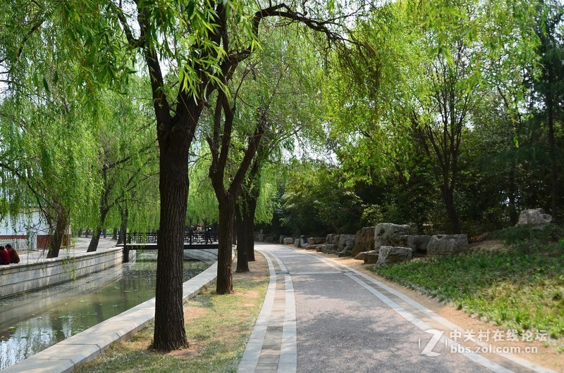 菏泽市曹州第二十八届牡丹节