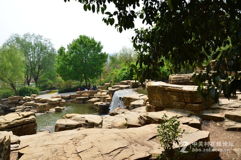 菏泽市曹州第二十八届牡丹节