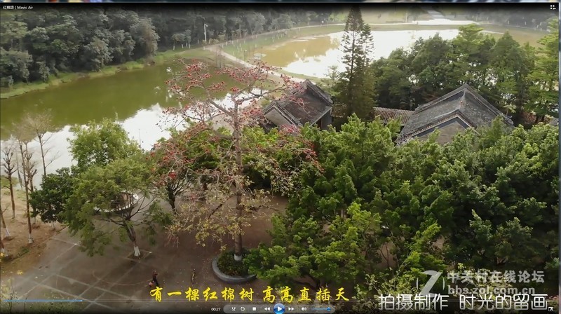 红棉颂  (拍摄: 御Mavic Air )