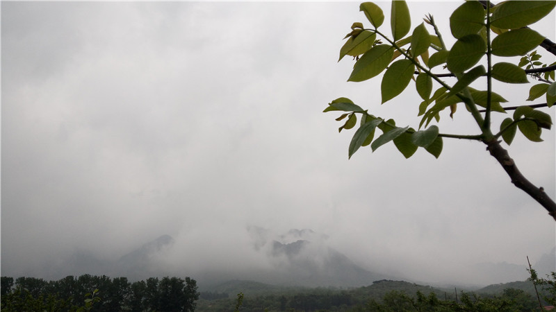 第一眼必爱：乐视超级手机1体验评测