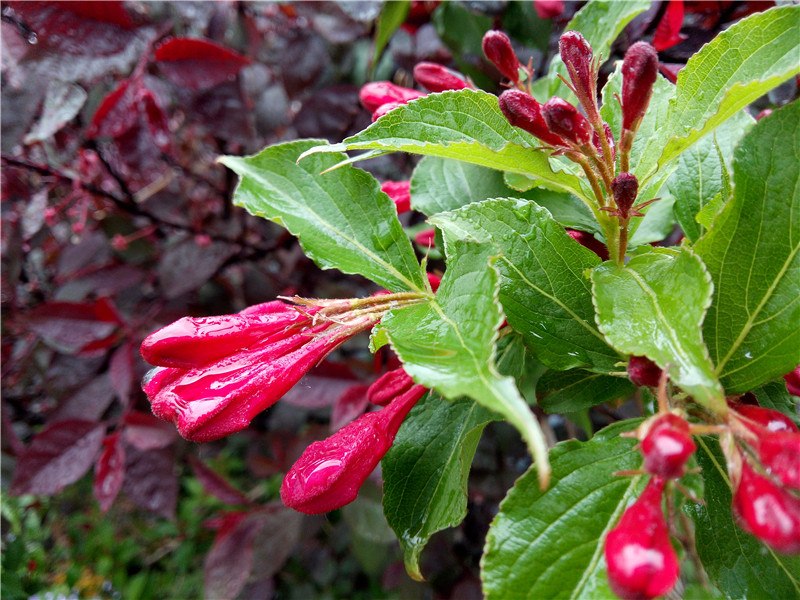 第一眼必爱：乐视超级手机1体验评测