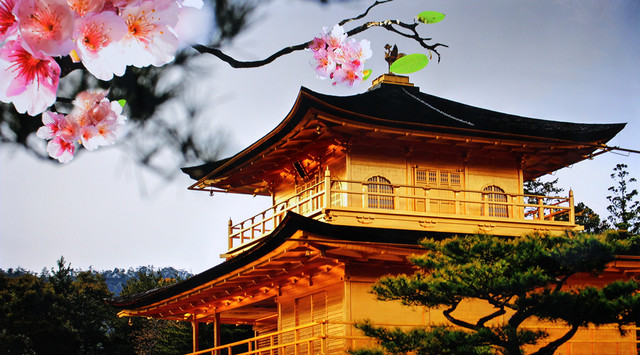 极简艺术打造精品生活! BOE Alta首测