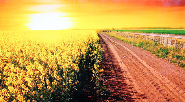 极简艺术打造精品生活! BOE Alta首测