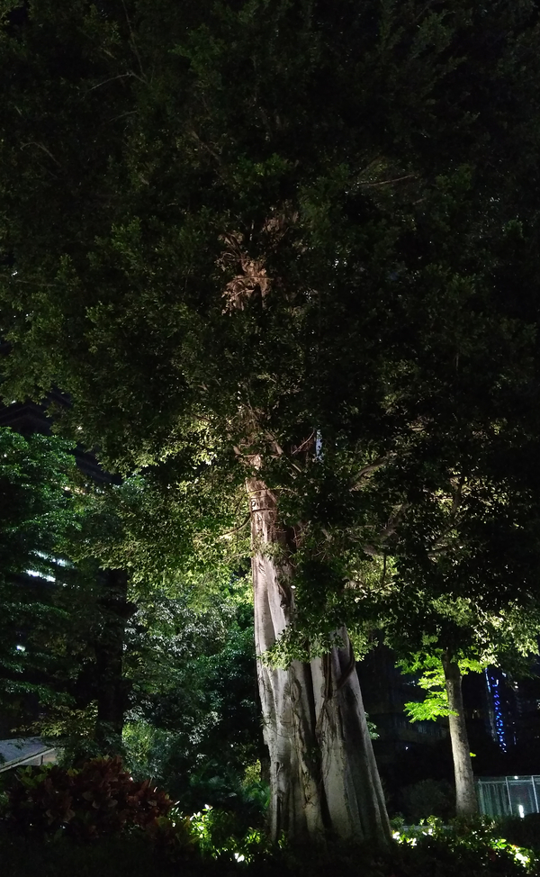 谈干货，乐Max眼里的黑夜