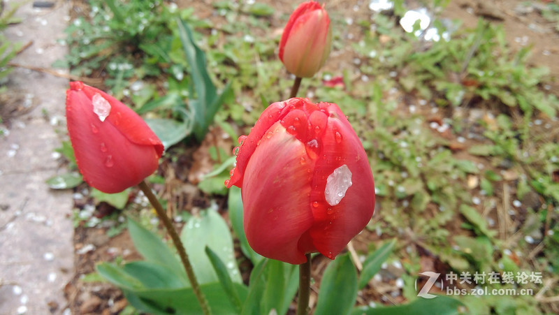 #大神F1极速体验# 拍照评测，完美的视觉体验