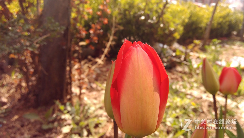 #大神F1极速体验# 拍照评测，完美的视觉体验