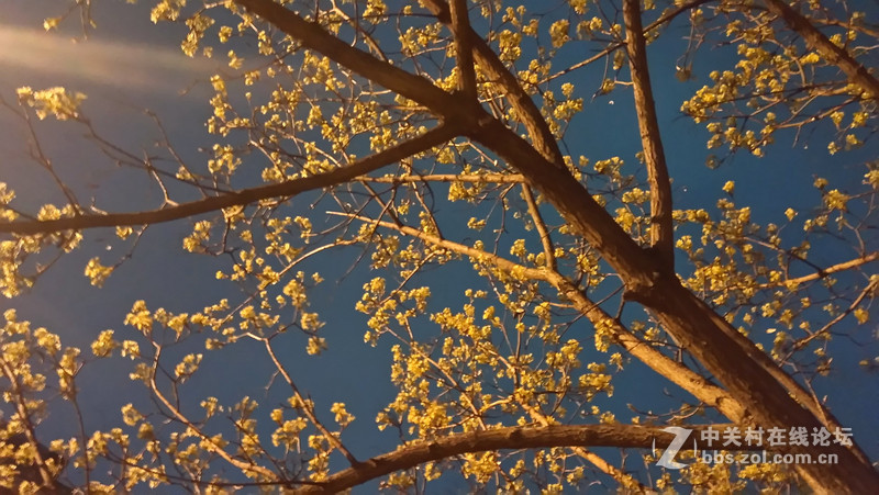 #大神F1极速体验# 拍照评测，完美的视觉体验