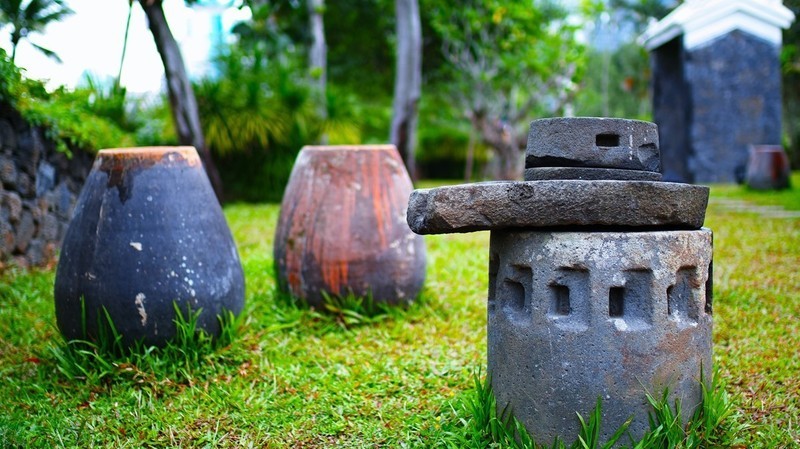 适马SD H  海口万绿园采风