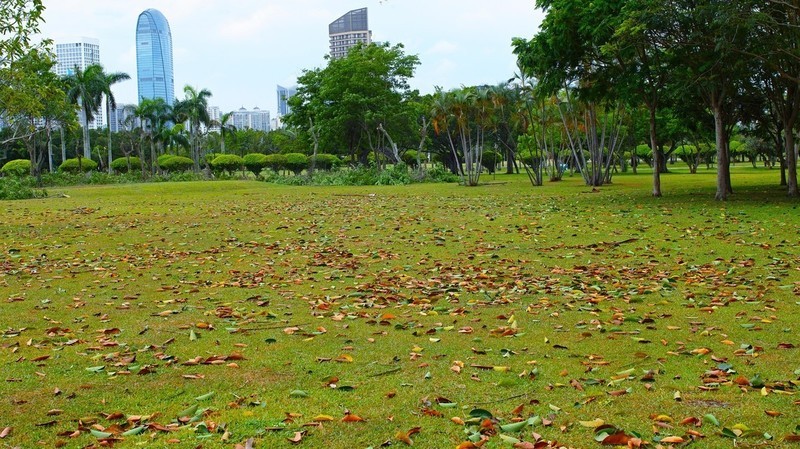 适马SD H  海口万绿园采风