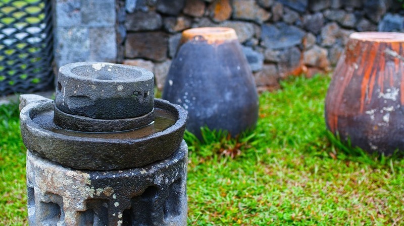 适马SD H  海口万绿园采风