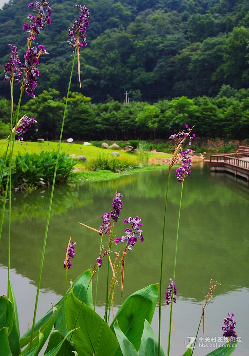 青山捧出梵王宫【奥林巴斯EP5拍天童寺】