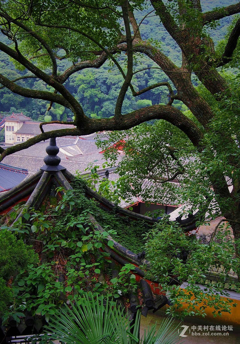 青山捧出梵王宫【奥林巴斯EP5拍天童寺】