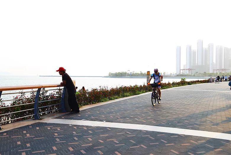 国产新锐， 劲捷A81高颜值的碳纤维三脚架！