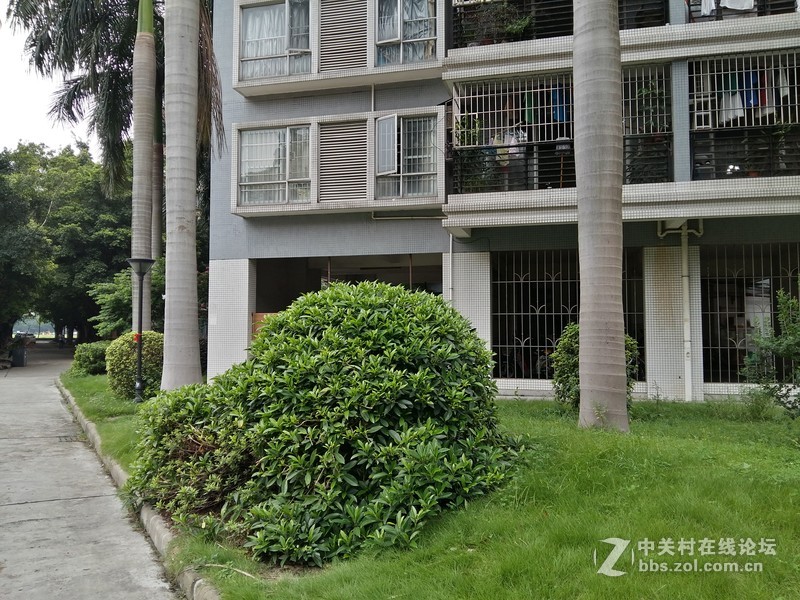 星空体育平台A5的拍照性能的确不咋地，只能算中等偏下水平！