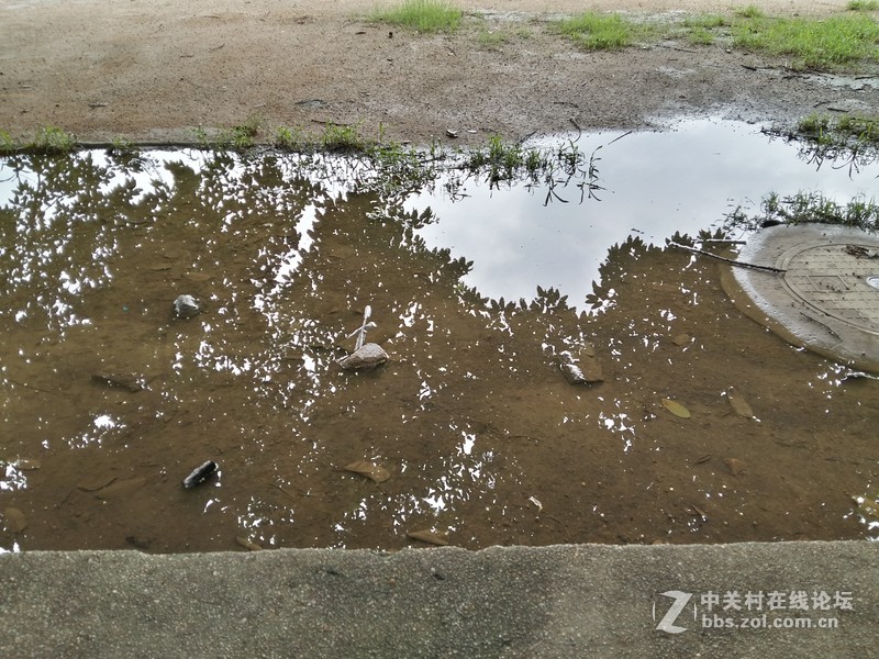 星空体育平台A5的拍照性能的确不咋地，只能算中等偏下水平！