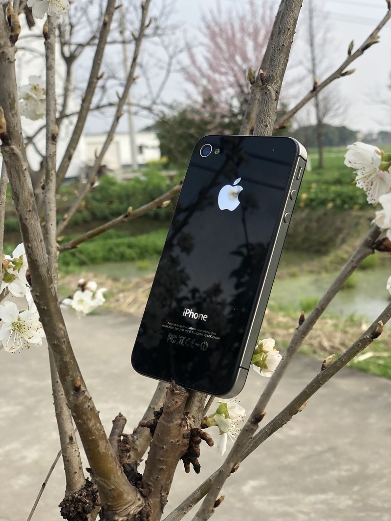 iPhonex日常拍照样张