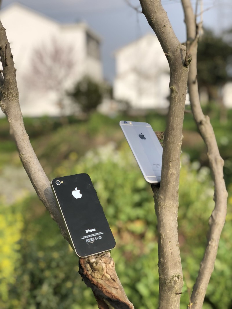 iPhonex日常拍照样张