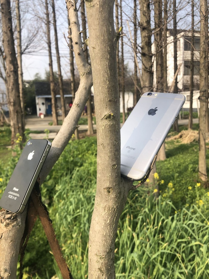 iPhonex日常拍照样张