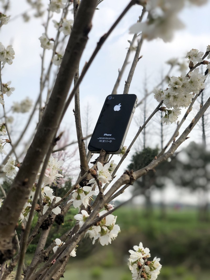 iPhonex日常拍照样张