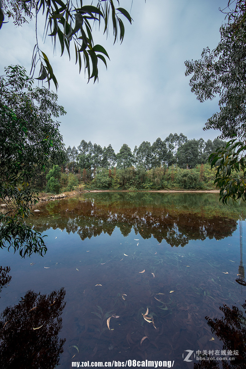 《康陵石头湖》----练习各种风景元素的比例搭配