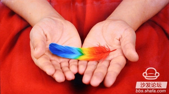 极简艺术打造精品生活! BOE Alta首测