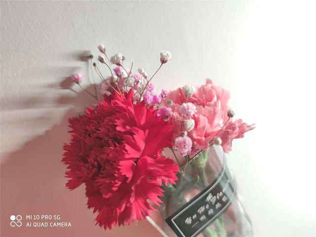 小米10 Pro上手两周体验：云评测原来都是骗人的