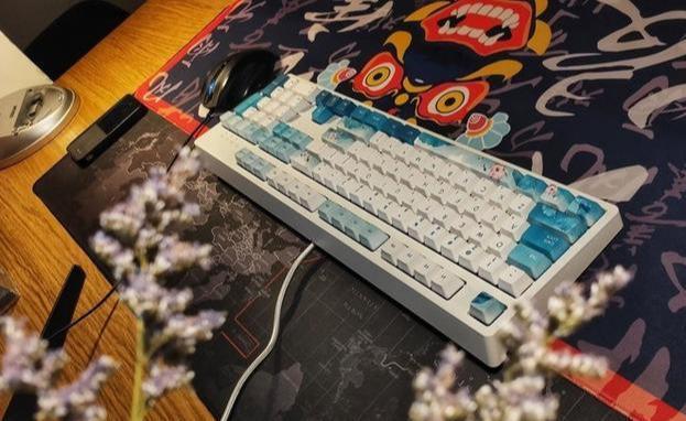 谁说键盘很呆板无生机？水墨荷花版机械键盘了解一下