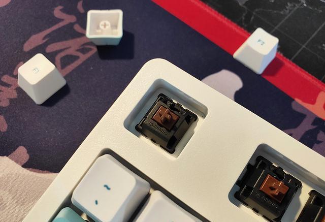 谁说键盘很呆板无生机？水墨荷花版机械键盘了解一下