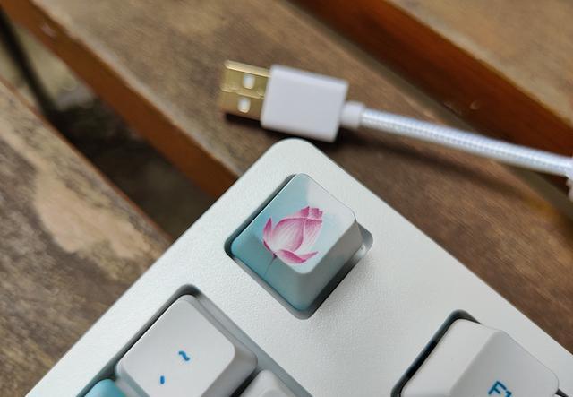谁说键盘很呆板无生机？水墨荷花版机械键盘了解一下