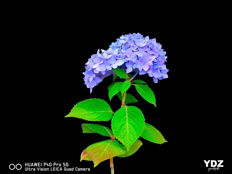 #版主坐堂# 《手机摄影星空(中国)》2020年5月优秀作品选编