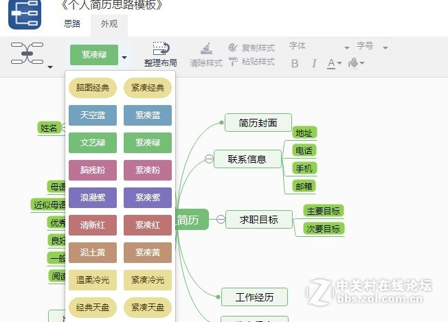 个人简历绘制总结思维导图模板分享