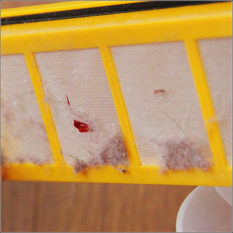 #地宝朵朵懒癌救星#科沃斯地宝朵朵将扫地机器人重新定义，和传统说拜拜！【下篇】