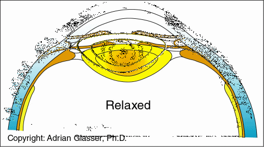 10秒就能恢复视力，从投影角度来看眼睛