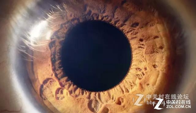 10秒就能恢复视力，从投影角度来看眼睛