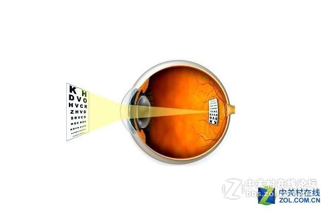 10秒就能恢复视力，从投影角度来看眼睛