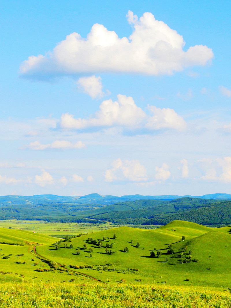 p8max壁纸征集夏日草原